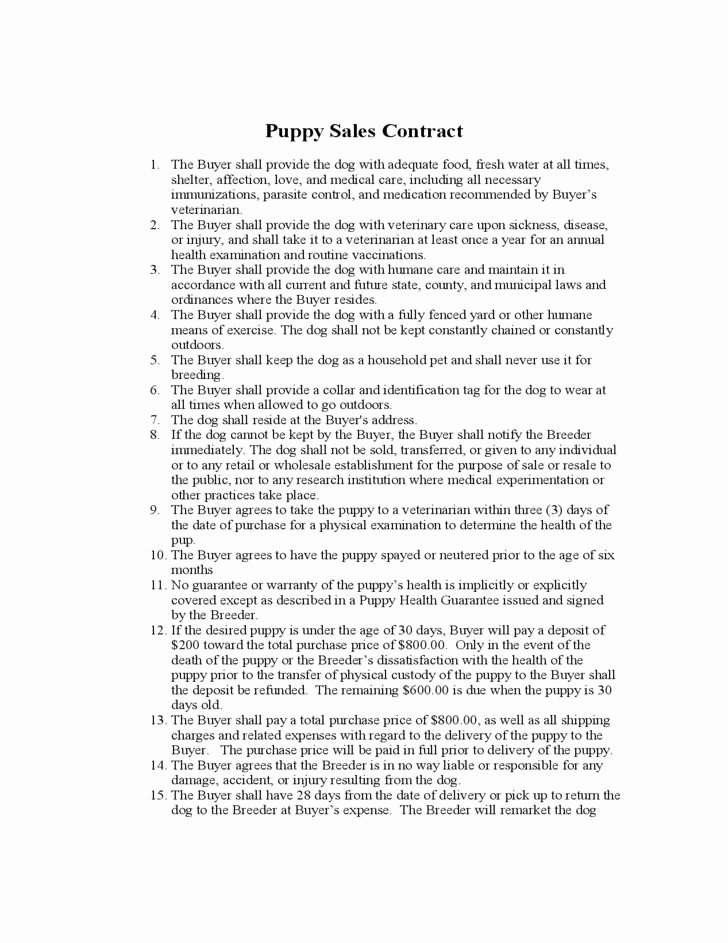 Puppy Sale Contract Template Best Of Puppy Sales Contract Free Download Dog Stuff
