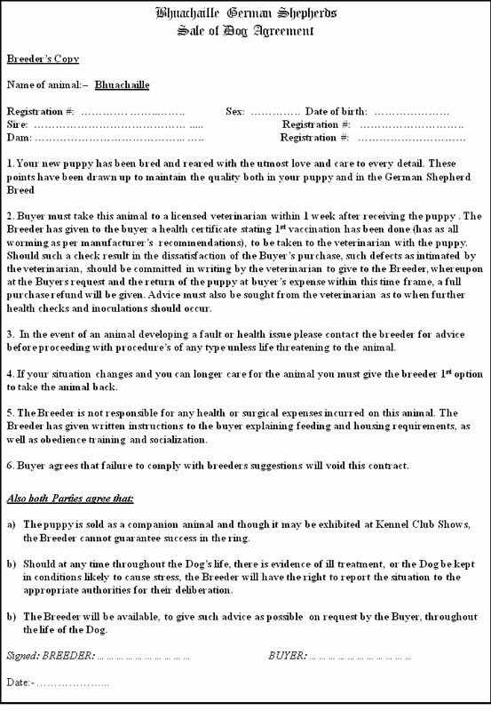 Puppy Sale Contract Template Unique Puppy Contract Bhuachaille German Shepherds