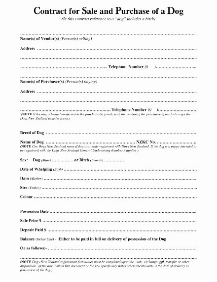 Puppy Sales Contract Template Awesome 8 Puppy Sales Contract Templates Word Google Docs
