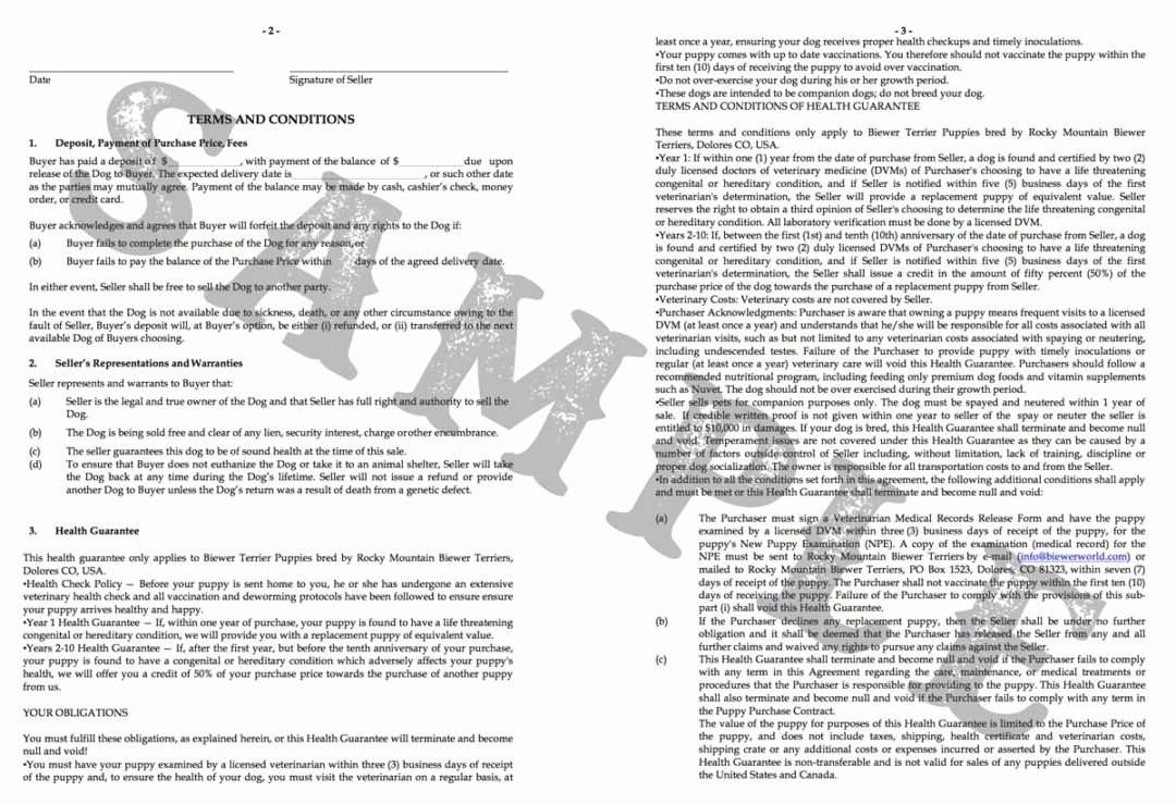 Puppy Sales Contract Template Unique Puppy Contract for A Rocky Mountain Biewer Terrier
