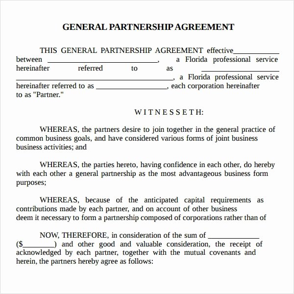 Real Estate Partnership Agreement Template Unique Partnership Agreement 9 Free Pdf Doc Download
