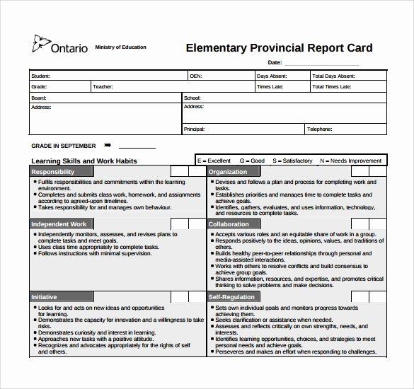 Report Card Template Excel Beautiful Free 14 Sample Report Cards In Pdf Word Excel