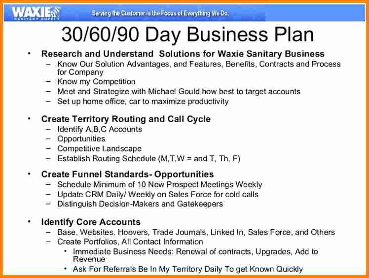 Sales Territory Plan Template Luxury 13 90 Day Sales Plan Template