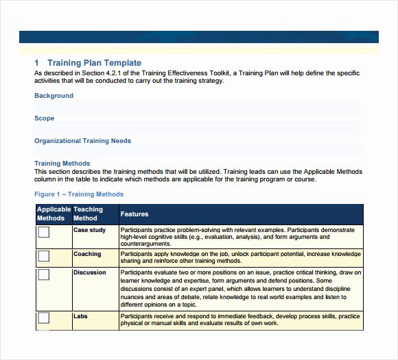 Sample Training Plan Template Luxury Sample Training Plan 12 Example format