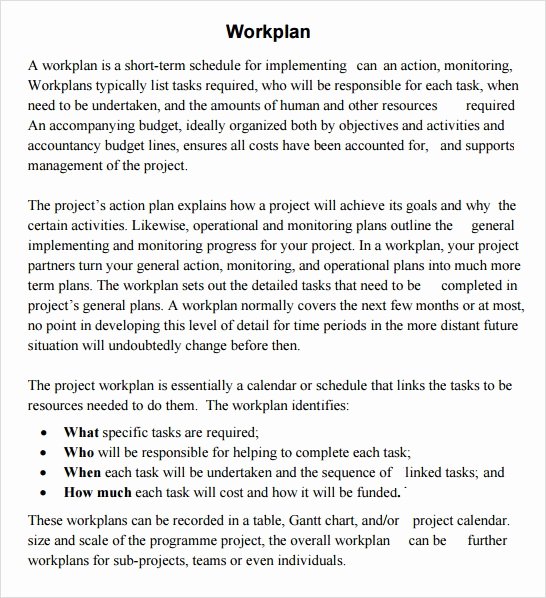 Sample Work Plan Template Unique 23 Sample Work Plan Templates In Google Docs