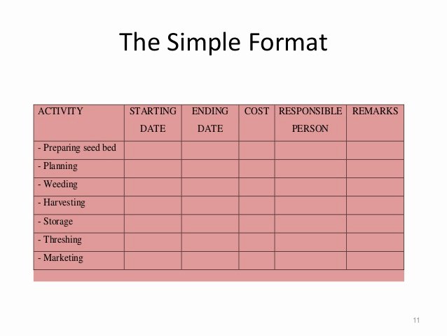 Simple Implementation Plan Template Lovely Project Implementation