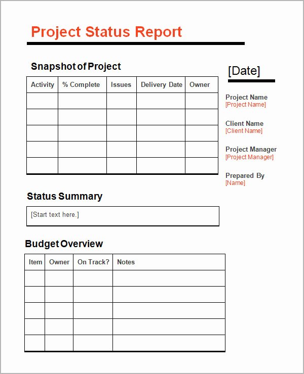Simple Project Status Report Template Awesome Sample Status Report 13 Documents In Word Pdf Ppt