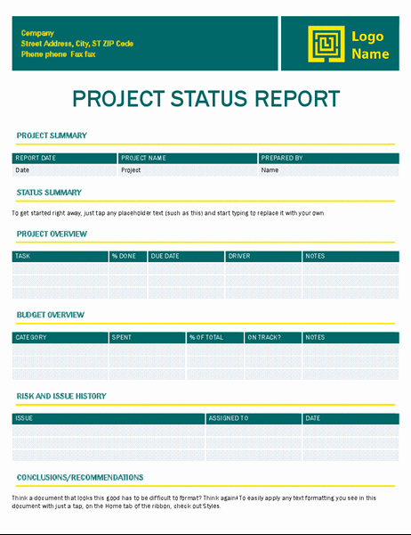 Simple Project Status Report Template Lovely Invoice Timeless Design Fice Templates