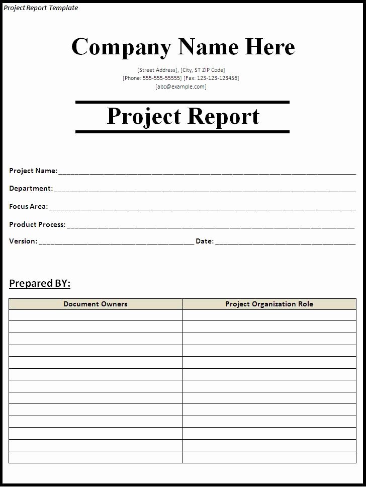 Simple Project Status Report Template Luxury Project Status Report Template Project Report Template