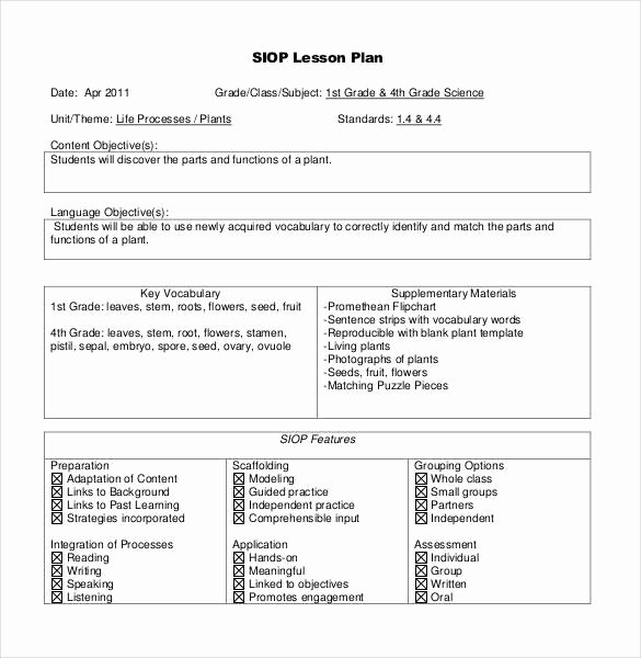 Siop Lesson Plan Template 1 Awesome 59 Lesson Plan Templates Pdf Doc Excel