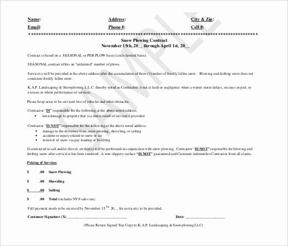 Snow Removal Bid Template Elegant 27 Of Snow Removal Proposal Template Free