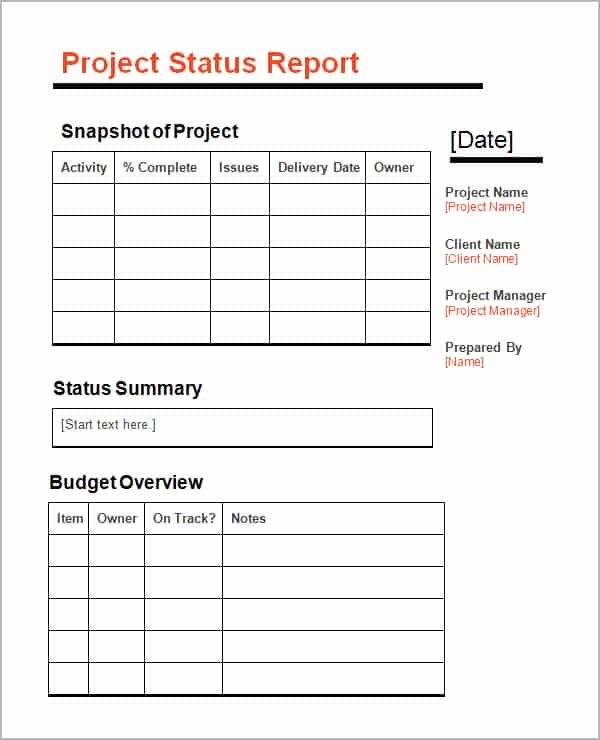 Status Report Template Word Awesome 5 Status Report Templates Excel Pdf formats