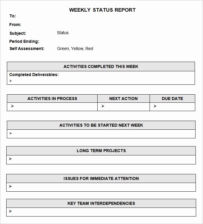 Status Report Template Word Awesome Status Report Templates 7 Free Word Documents Download