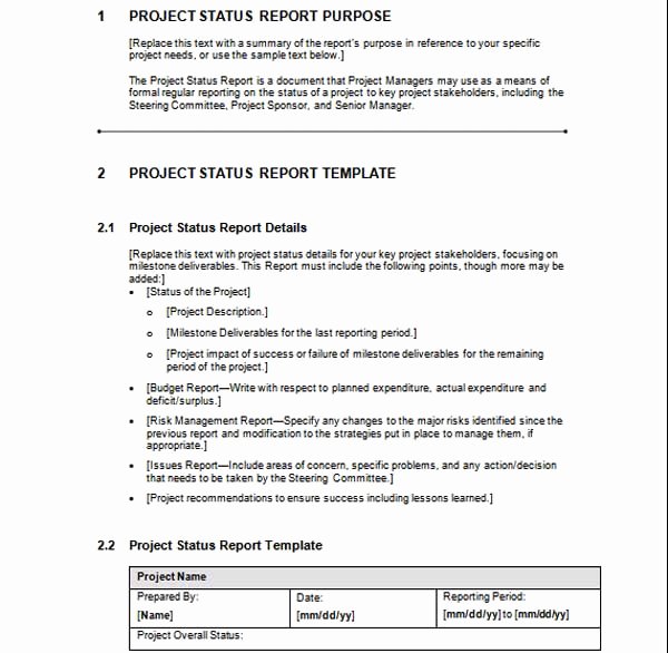 Status Report Template Word Best Of Microsoft Word Templates Free Project Status Report Template