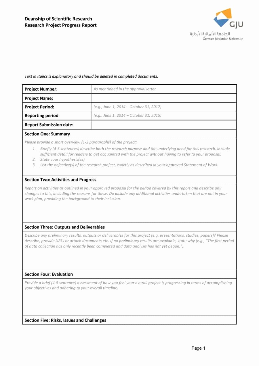 Status Report Template Word New 40 Project Status Report Templates [word Excel Ppt