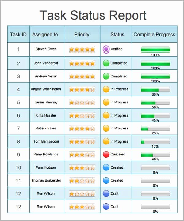 Status Report Template Word Unique 5 Status Report Templates Excel Pdf formats