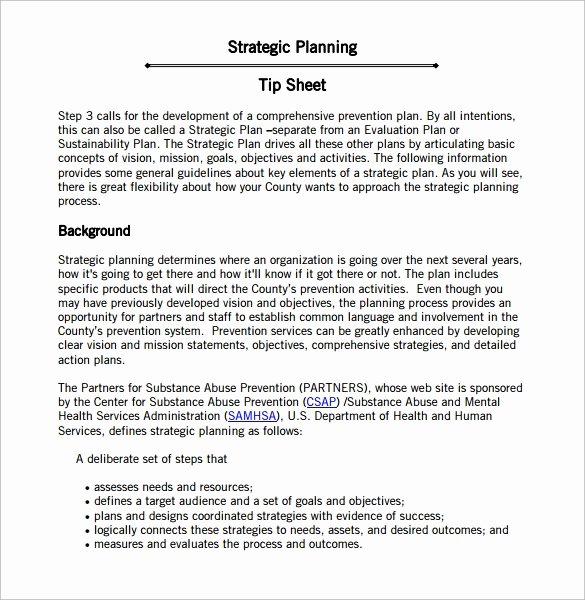 Strategic Action Plan Template Inspirational Sample Strategic Action Plan 10 Documents In Pdf Word