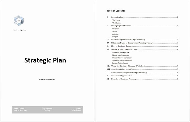 Strategic Plan Template Word Unique Strategy Planning Templates