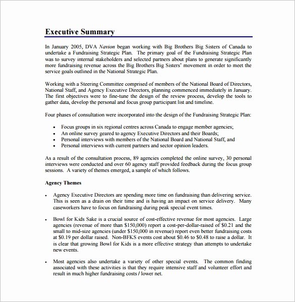 Strategy Plan Template Word Elegant Fundraising Plan Template 11 Free Word Pdf Documents