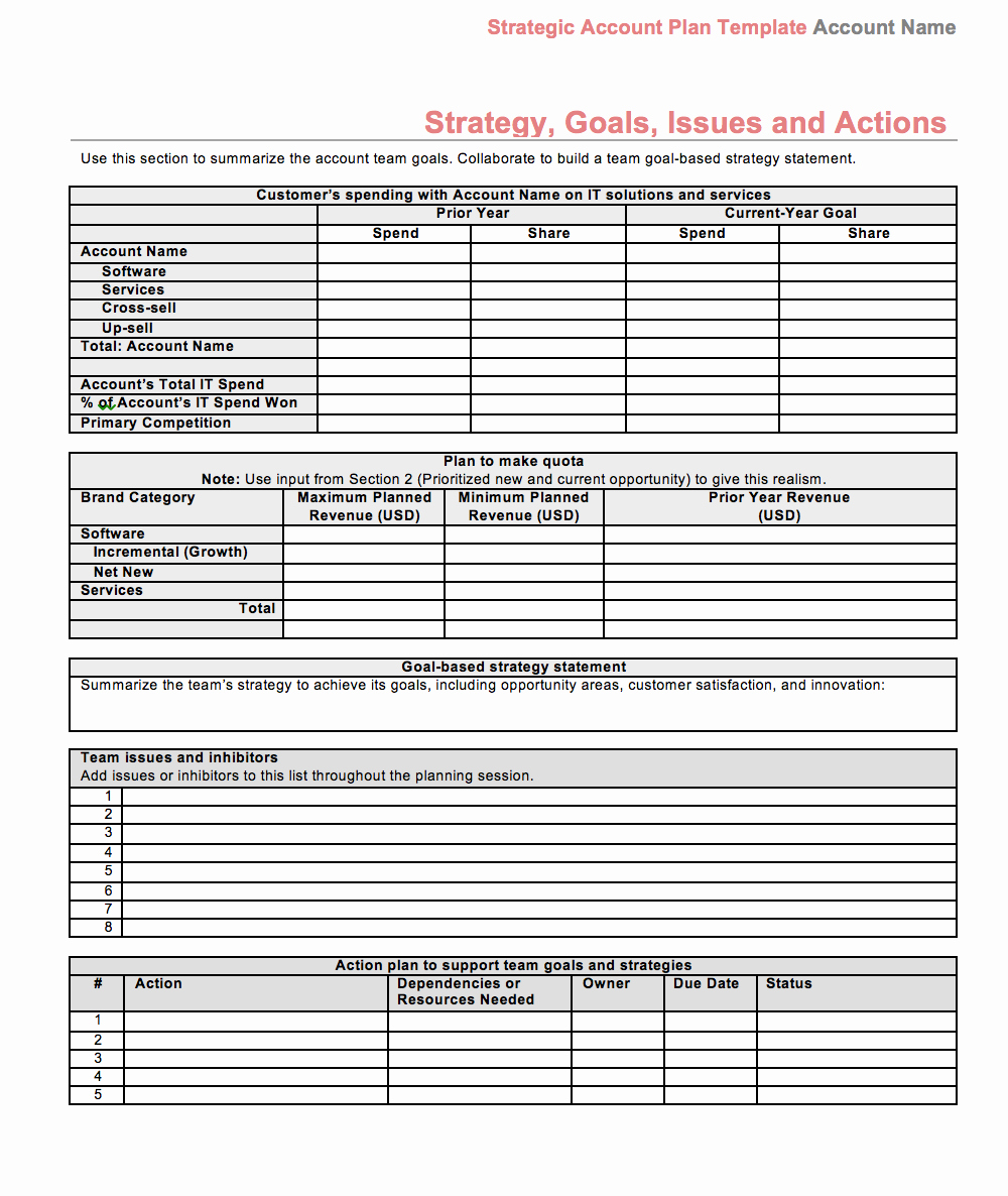 Strategy Plan Template Word Lovely Strategic Account Plan Template