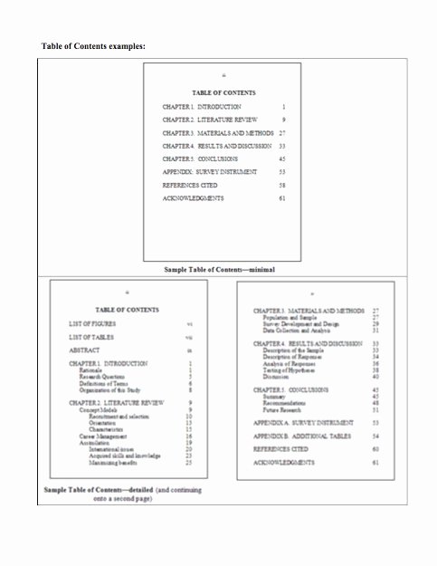 Table Of Contents Template Fresh 20 Table Of Contents Templates and Examples Template Lab