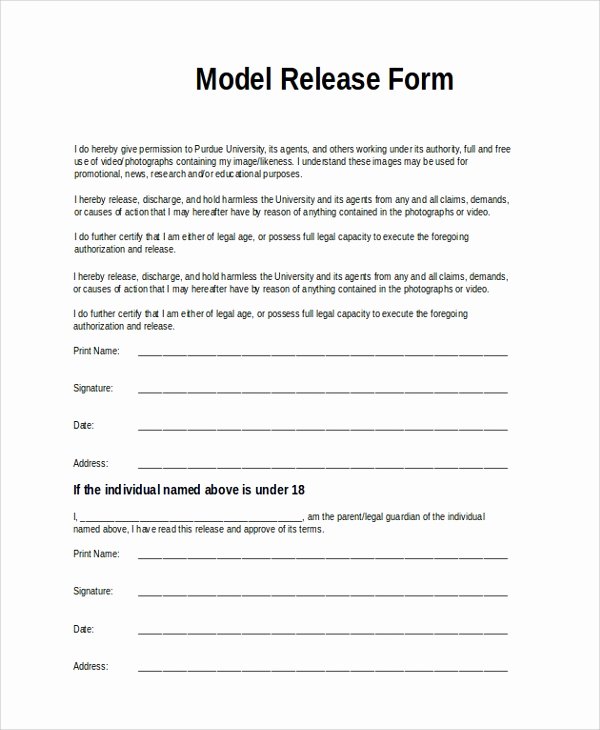 Talent Release form Template Fresh Sample Model Release form 9 Examples In Pdf Word