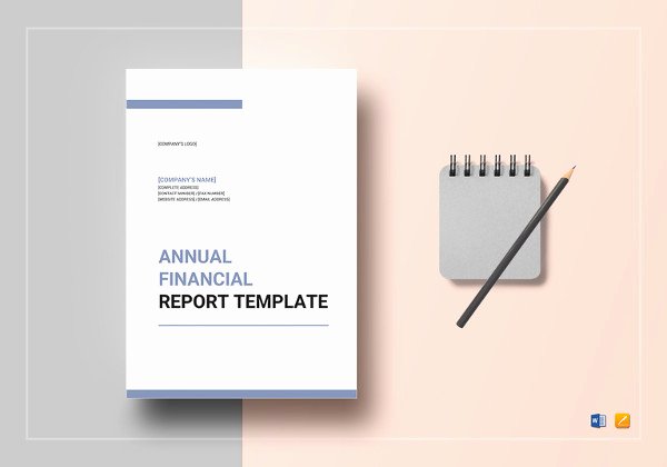 Treasurer Report Template Excel Best Of Treasurer Report Template 17 Free Sample Example