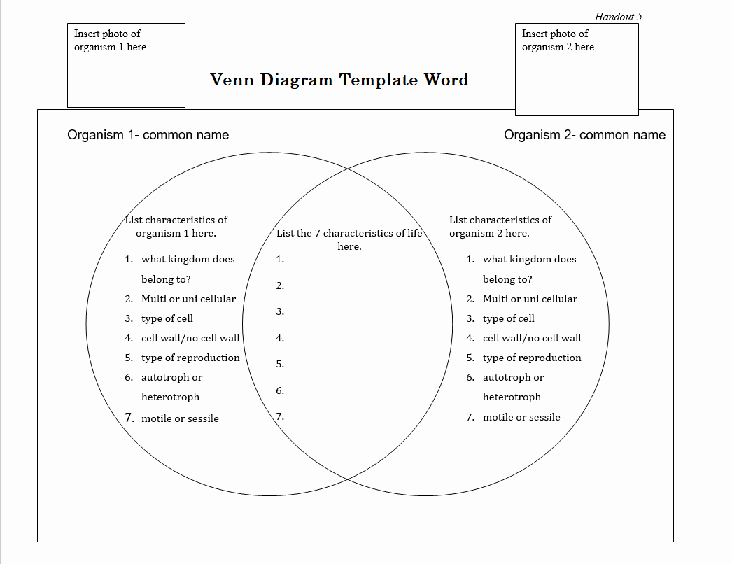 Venn Diagram Template Word Elegant 8 Free Collection Venn Diagram Templates Calypso Tree