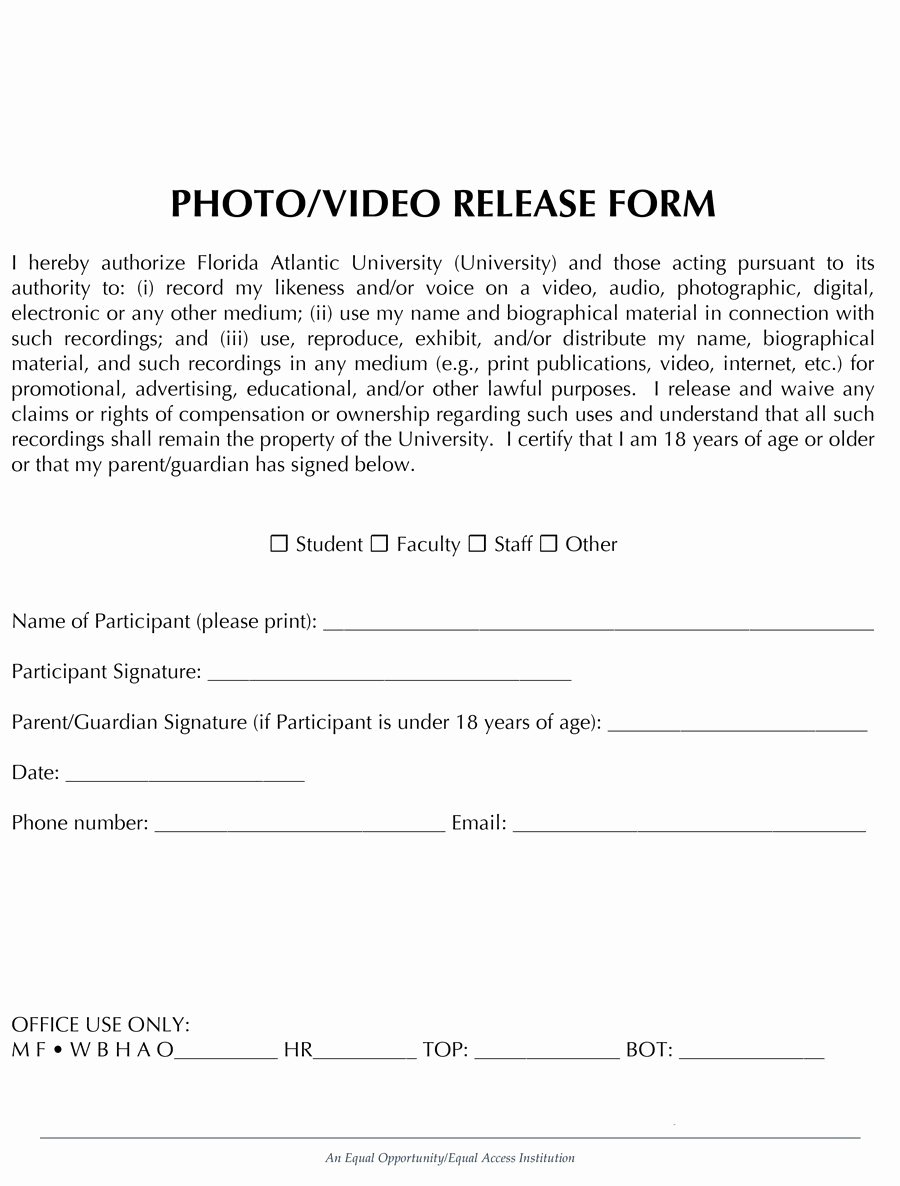 Video Release form Template Elegant 53 Free Release form Templates [word Pdf]