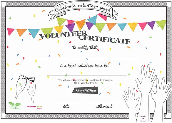 Volunteer Certificate Of Appreciation Template Inspirational Sample Volunteer Certificate Template 13 Documents In
