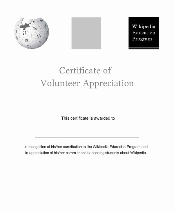 Volunteer Certificate Of Appreciation Template Unique Certificate Of Appreciation 15 Free Pdf Ppt Documents