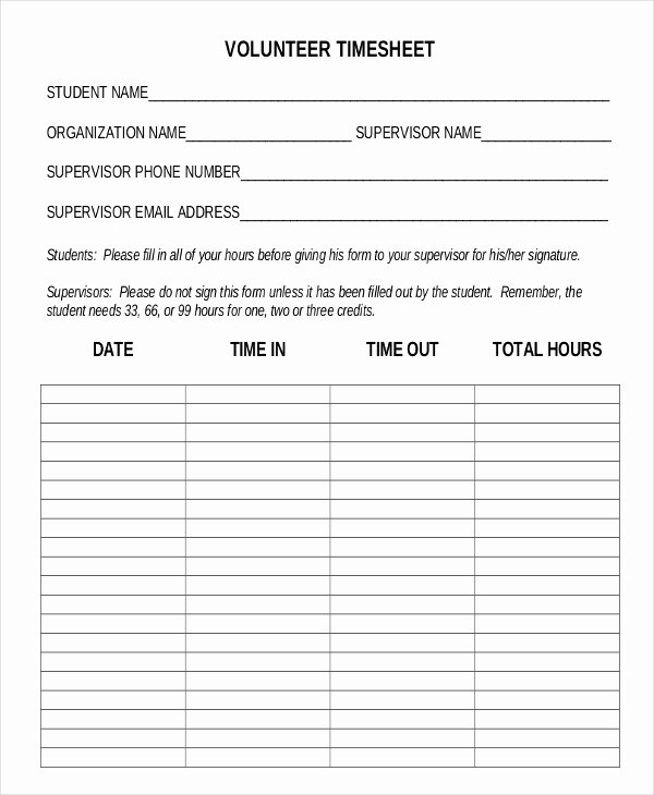 Volunteer Hour forms Template Luxury 19 Timesheet Templates Free Sample Example format