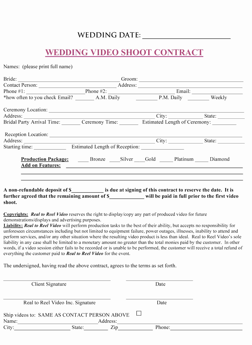 Wedding Videography Contract Template Elegant Wedding Planner Wedding Planner Contract Pdf
