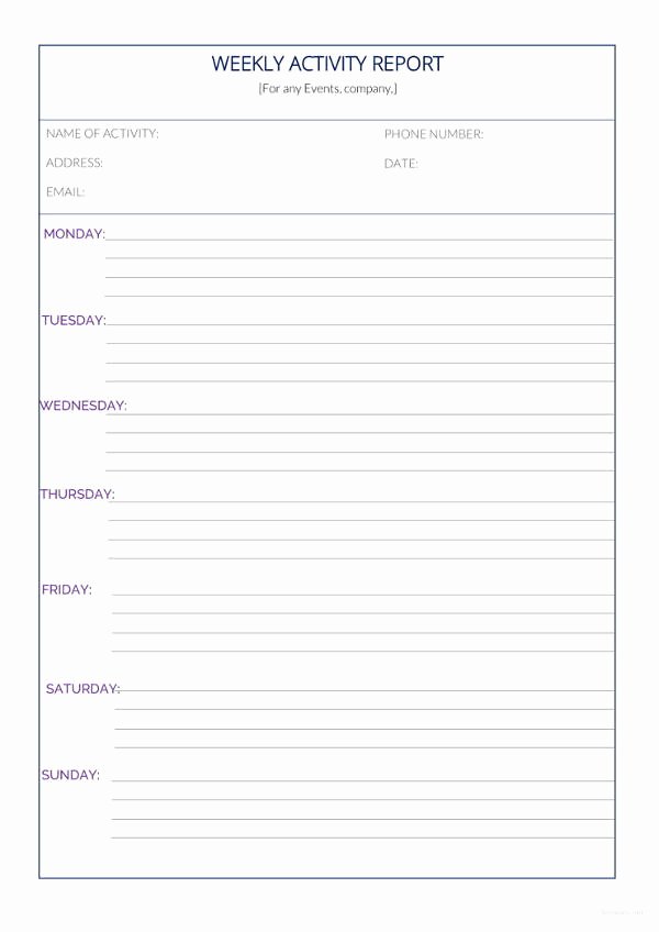 Weekly Activities Report Template New 36 Weekly Activity Report Templates Pdf Doc