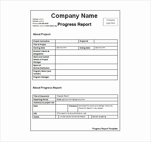 Weekly Activity Report Template Excel Elegant Status Report Template 27 Examples You Can Download Free