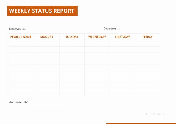 Weekly Status Report Template Word Unique 18 Sample Weekly Status Report Templates – Pdf Word