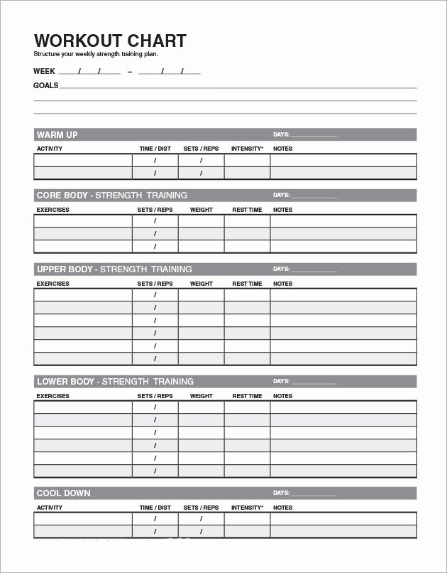 Workout Plan Template Excel Inspirational Daily Workout Plan Template