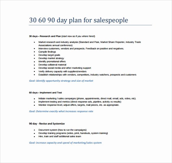 30 60 90 Plan Templates Lovely 30 60 90 Day Plan Template 8 Free Download Documents In Pdf