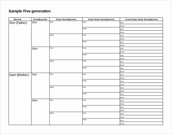 4 Generation Family Tree Templates Best Of Free 56 Family Tree Templates In Word Apple
