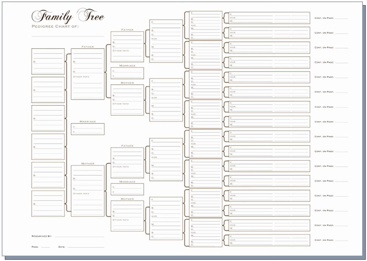 5 Generation Family Tree Template Beautiful A3 Six Generation Pedigree Chart