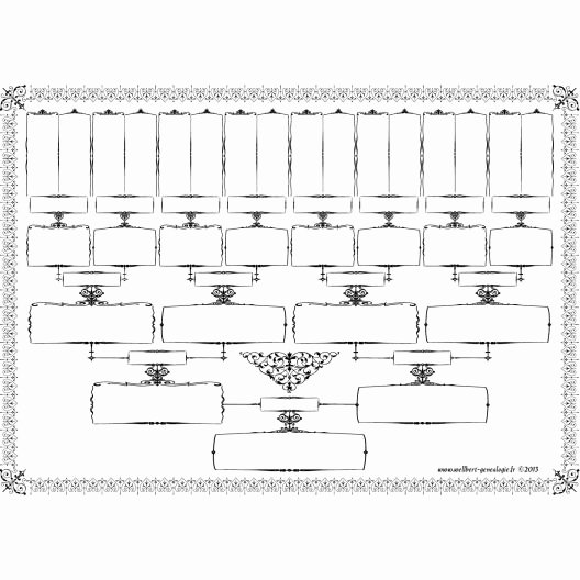 5 Generation Family Tree Template Best Of 17 Best Ideas About Tree Templates On Pinterest