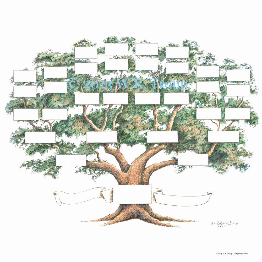 family tree scrapbook chart 12x12 inch 5