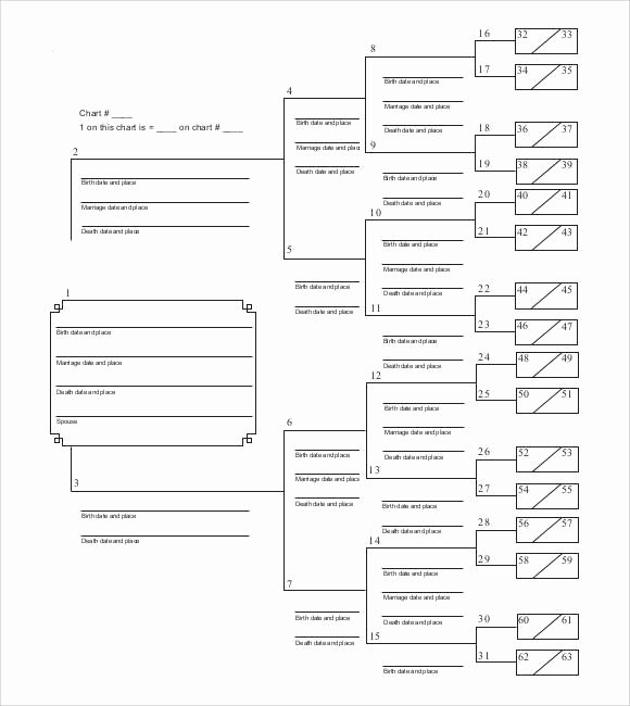 5 Generation Family Tree Template Unique Free 56 Family Tree Templates In Word Apple