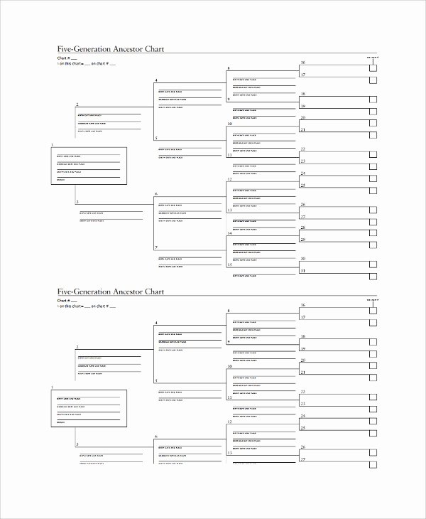 5 Generation Family Tree Template Unique Sample Family Tree Chart Template 17 Documents In Pdf