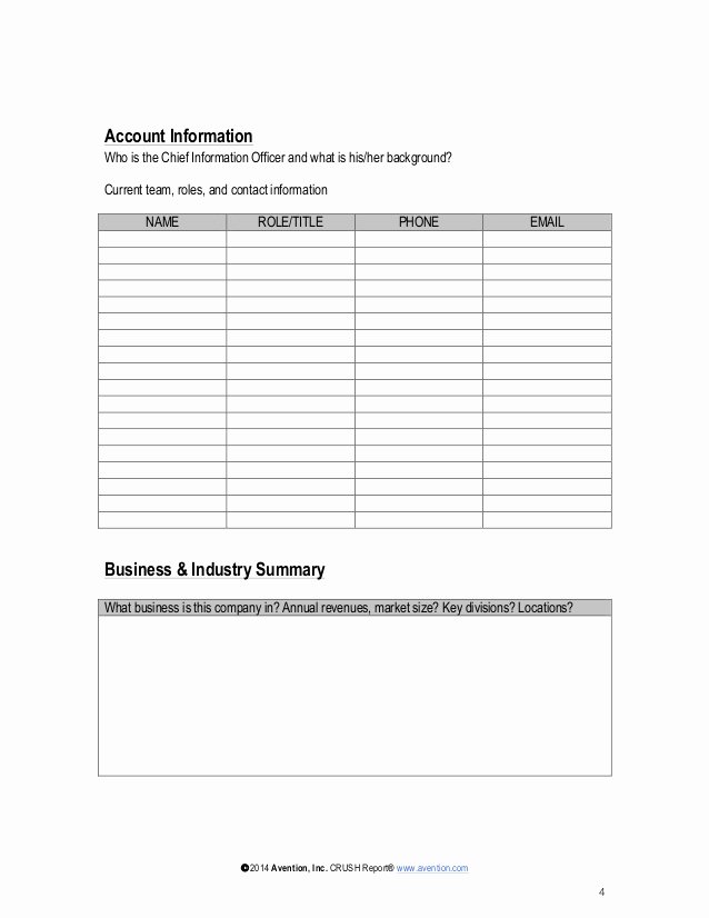 Account Management Plan Template Lovely Strategic Account Plan Template