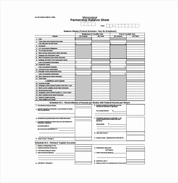 Balance Sheet Template Pdf Luxury Balance Sheet Templates 18 Free Word Excel Pdf