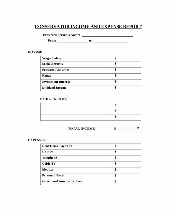 Basic Expense Report Template Luxury Expense Report 20 Free Word Excel Pdf Apple Pages