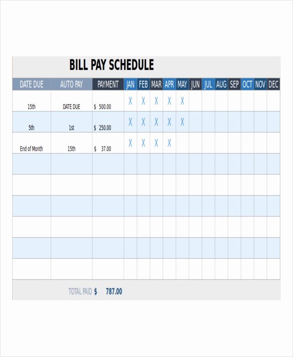 Bill Payment Schedule Template Luxury Bill Payment Schedule Template 13 Free Word Pdf format