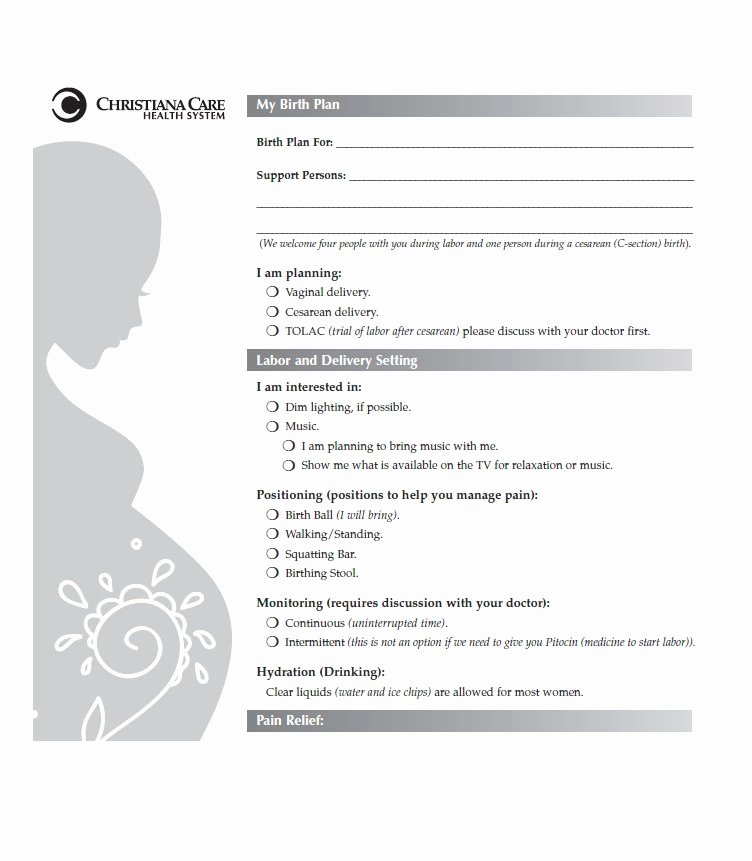 Birth Plan Template Pdf Awesome 47 Printable Birth Plan Templates [birth Plan Checklist