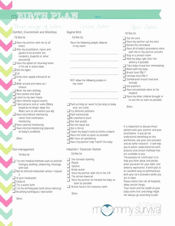 Birth Plan Template Pdf Awesome Free Birth Plan Printables Mommy Survival …